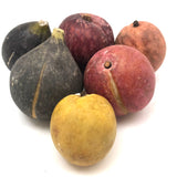 Great Old Group of Stone Fruits with Excellent Color