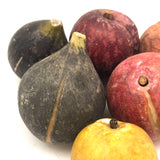 Great Old Group of Stone Fruits with Excellent Color