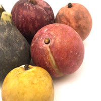 Great Old Group of Stone Fruits with Excellent Color