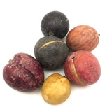 Great Old Group of Stone Fruits with Excellent Color