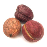 Great Old Group of Stone Fruits with Excellent Color