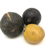 Great Old Group of Stone Fruits with Excellent Color