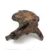 Gorgeous Old Burl Root Stool, Presumed Chinese "Scholar's Stool"