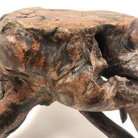 Gorgeous Old Burl Root Stool, Presumed Chinese "Scholar's Stool"