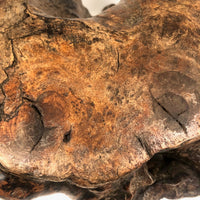 Gorgeous Old Burl Root Stool, Presumed Chinese "Scholar's Stool"