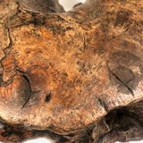 Gorgeous Old Burl Root Stool, Presumed Chinese "Scholar's Stool"