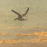 Old Folk Art Oil on Wood Panel Maine Seascape with Gulls