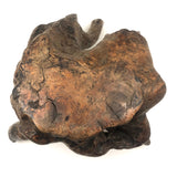 Gorgeous Old Burl Root Stool, Presumed Chinese "Scholar's Stool"