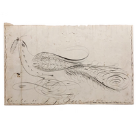 Executed by T.J. Pearce in Three Minutes: 19th Century Spencerian Ink Drawn Bird