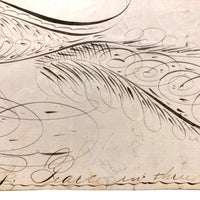 Executed by T.J. Pearce in Three Minutes: 19th Century Spencerian Ink Drawn Bird