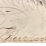 Executed by T.J. Pearce in Three Minutes: 19th Century Spencerian Ink Drawn Bird