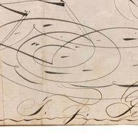 Executed by T.J. Pearce in Three Minutes: 19th Century Spencerian Ink Drawn Bird