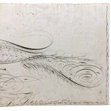 Executed by T.J. Pearce in Three Minutes: 19th Century Spencerian Ink Drawn Bird