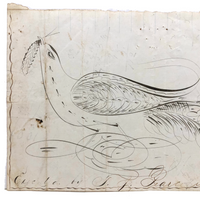 Executed by T.J. Pearce in Three Minutes: 19th Century Spencerian Ink Drawn Bird