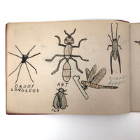 Emil Gottlieb's 1940s School Notebook with Excellent Drawings