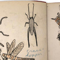 Emil Gottlieb's 1940s School Notebook with Excellent Drawings