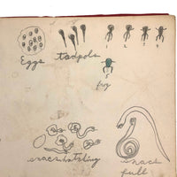 Emil Gottlieb's 1940s School Notebook with Excellent Drawings