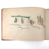 Emil Gottlieb's 1940s School Notebook with Excellent Drawings