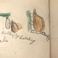 Emil Gottlieb's 1940s School Notebook with Excellent Drawings