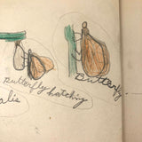 Emil Gottlieb's 1940s School Notebook with Excellent Drawings