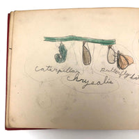 Emil Gottlieb's 1940s School Notebook with Excellent Drawings