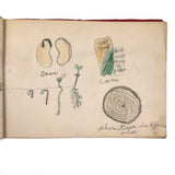 Emil Gottlieb's 1940s School Notebook with Excellent Drawings