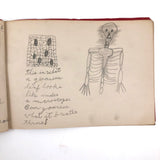 Emil Gottlieb's 1940s School Notebook with Excellent Drawings