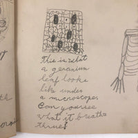 Emil Gottlieb's 1940s School Notebook with Excellent Drawings