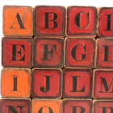 Slightly Mixed Set of c. 1870s Hill's Alphabet and Animal Blocks (15)