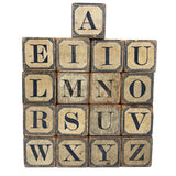 Slightly Mixed Set of c. 1870s Hill's Alphabet and Animal Blocks (15)