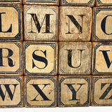 Slightly Mixed Set of c. 1870s Hill's Alphabet and Animal Blocks (15)