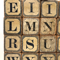 Slightly Mixed Set of c. 1870s Hill's Alphabet and Animal Blocks (15)