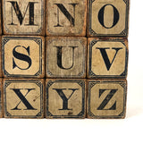 Slightly Mixed Set of c. 1870s Hill's Alphabet and Animal Blocks (15)