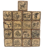 Slightly Mixed Set of c. 1870s Hill's Alphabet and Animal Blocks (15)