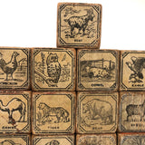 Slightly Mixed Set of c. 1870s Hill's Alphabet and Animal Blocks (15)