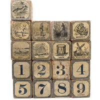 Slightly Mixed Set of c. 1870s Hill's Alphabet and Animal Blocks (15)