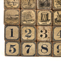 Slightly Mixed Set of c. 1870s Hill's Alphabet and Animal Blocks (15)