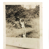 Strange View, Narcissus-esque Old Snapshot Photo (Photo of Photo?)