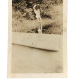 Strange View, Narcissus-esque Old Snapshot Photo (Photo of Photo?)