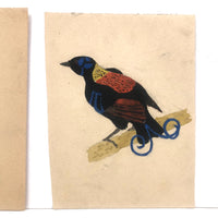 Pair of Bright Birds, Two More Old Unknown Birdlover's Naive Watercolors