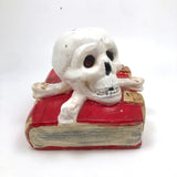 Black Magic! Fun Vintage Painted Chalkware Book with Skull and Cross Bones (and interesting provenance)