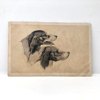 Handsome Dogs, Pair of Antique British Postcards