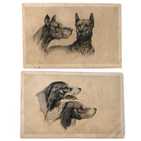 Handsome Dogs, Pair of Antique British Postcards