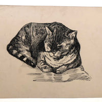 Pen and Ink Cat Drawing