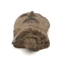 Pre-Columbian Face Fragment