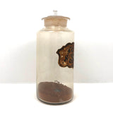 19th Century Hand-blown Large "Ferri Subcarb" Apothecary Jar