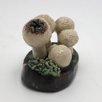 Lorenzen Lantz Nova Scotia White Button Mushroom Sculpture