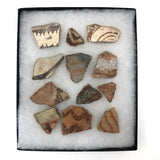 Collection of Early Pottery Shards, Presumed Anasazi