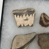 Collection of Early Pottery Shards, Presumed Anasazi