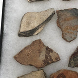 Collection of Early Pottery Shards, Presumed Anasazi